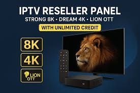 8K TV IPTV